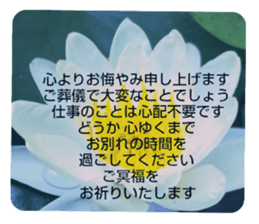 705031961