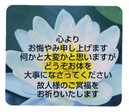 705031962