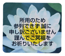 705031966