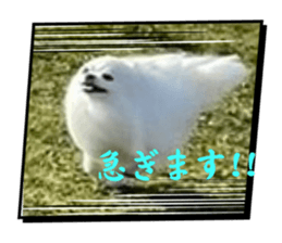 705032472