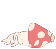 705033520
