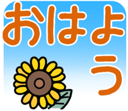 705057217