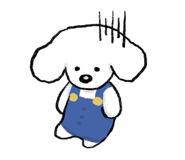 705062485