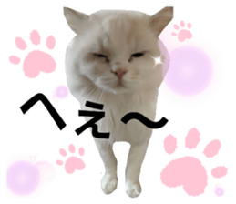 705091936