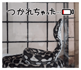 705116132
