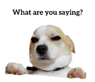 705148005