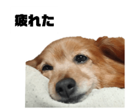 705148010