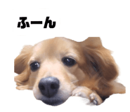 705148011