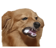 705148016