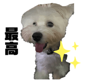 705149366
