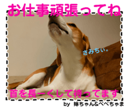 705149521