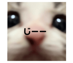 705154313