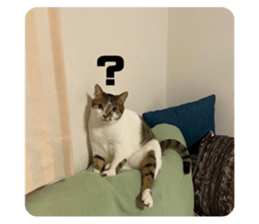 705155549