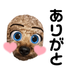 705165990