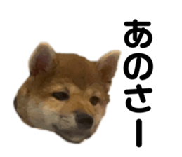 705166019