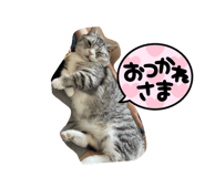 705182017