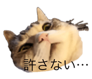 705182018