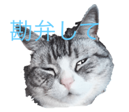 705182019