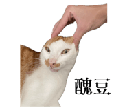 705232178