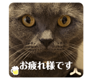 705247704