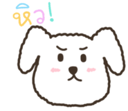 705277437