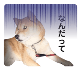705286553