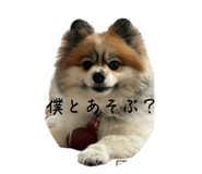 705309468