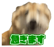 705310891