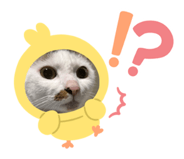705321038