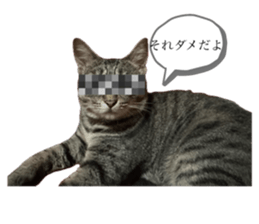 705323502