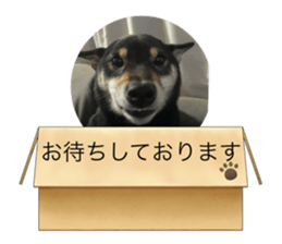 705337624