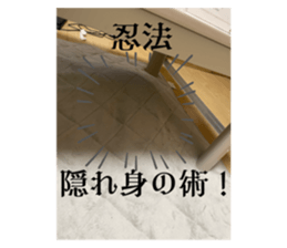 705351824