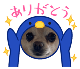 705368518