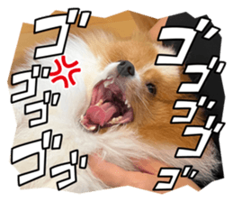 705380603
