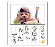 705382835