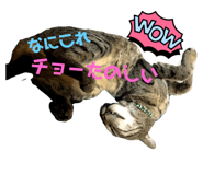 705383004