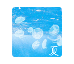 705452741