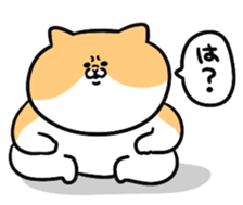 705464877