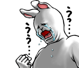 705466526