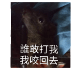705468759