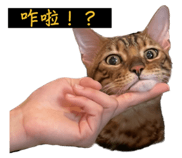 705480110