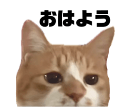 705500519