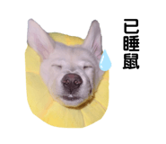 705500630