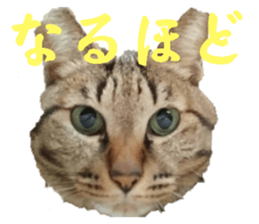 705503183