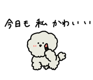 705503721