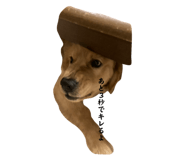705503845