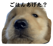 705503846