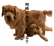 705503865