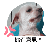 705509773