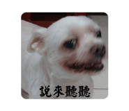705509775